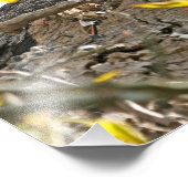 Mutterkugel und Baby in Nest Fotodruck (Ecke)