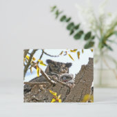 Mutterkugel und Baby in Nest Postkarte (Stehend Vorderseite)