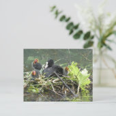 Mutterkuh mit junger DIY-Postkarte Postkarte (Stehend Vorderseite)