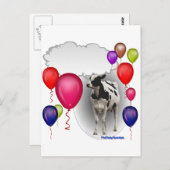 Mutterkuh Postkarte (Vorne/Hinten)