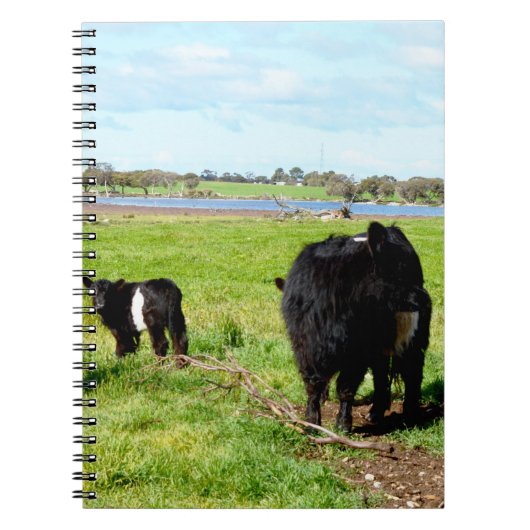 Mutterkuh und Baby Galloway Cow, Notebook Notizblock (Vorderseite)