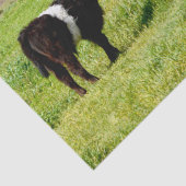 Mutterkuh und Schwulenkuh, Gewebe Seidenpapier (Detail)