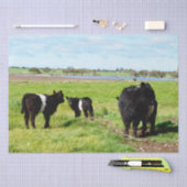 Mutterkuh und Schwulenkuh, Gewebe Seidenpapier (Handwerk)