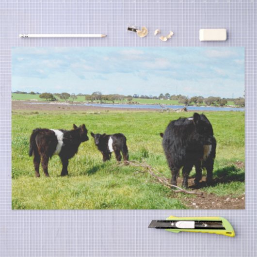 Mutterkuh und Schwulenkuh, Gewebe Seidenpapier (Handwerk)