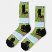 Mutterkühe, Crew und Mutterkuh Socken (Linkes Detail)