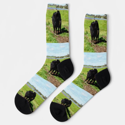 Mutterkühe, Crew und Mutterkuh Socken (Linkes Detail)