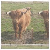 Mutterkühe Stoff (Nahaufnahme)