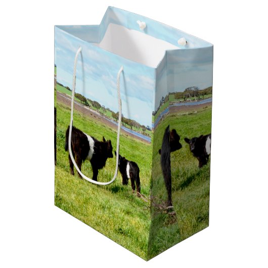 Mutterkühe und Baby-Galloway-Kuh, Geschenktasche Mittlere Geschenktüte (Vorderseite Schrägansicht)