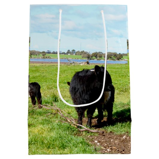 Mutterkühe und Baby-Galloway-Kuh, Geschenktasche Mittlere Geschenktüte (Rückseite)