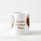 Mutterkühe und Niedliches Kalb Kaffeetasse (Mittel)