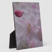 Mutterkummer Fotoplatte (Seite)