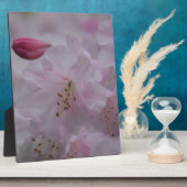 Mutterkummer Fotoplatte (Seite)