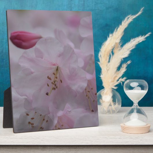 Mutterkummer Fotoplatte (Seite)