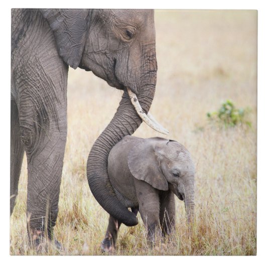 Mutterliche Liebe Fliese (Vorderseite)