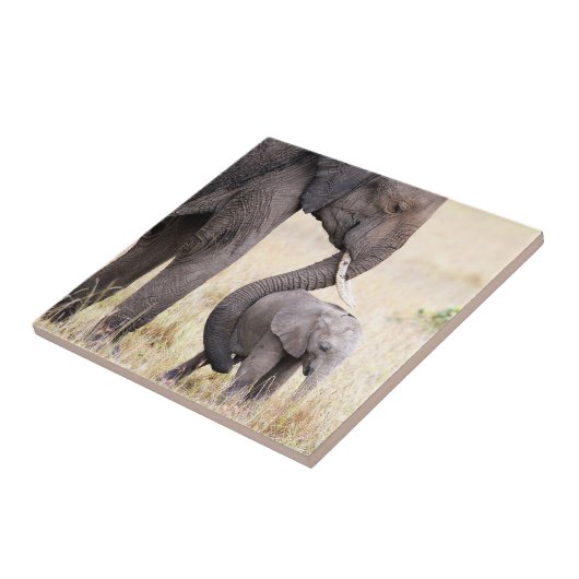 Mutterliche Liebe Fliese (Seite)