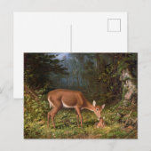 Mütterliche Liebe Mutter und Baby Deer Postkarte (Vorne/Hinten)