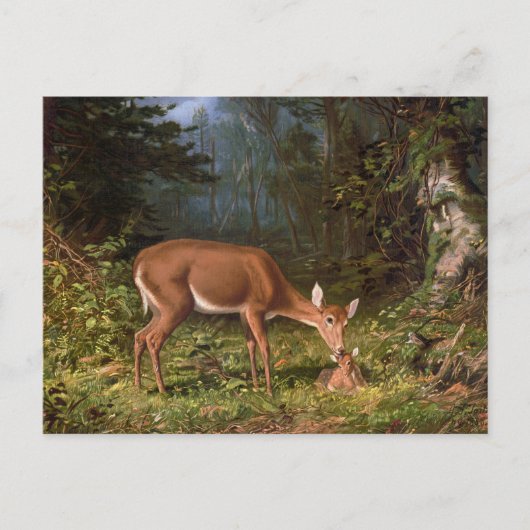 Mütterliche Liebe Mutter und Baby Deer Postkarte (Vorderseite)