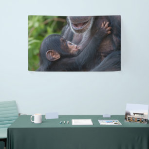 Mutterliebe – Baby Schimpanse Banner