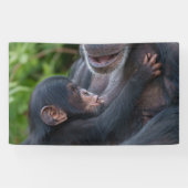 Mutterliebe – Baby Schimpanse Banner (Horizontal)