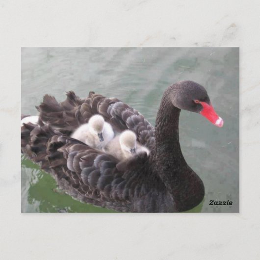 Mutterliebe Postkarte (Rückseite)