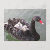 Mutterliebe Postkarte (Vorderseite)