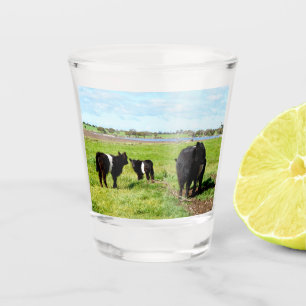 Muttermilch und Schwulenkuh, Shotglas Schnapsglas