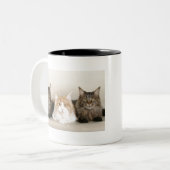 Muttermundkatzen Zweifarbige Tasse (Vorderseite Links)