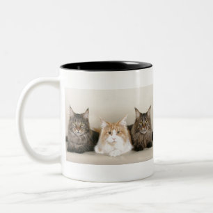 Muttermundkatzen Zweifarbige Tasse