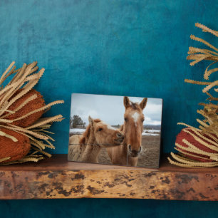 Mutterpferd Fotoplatte