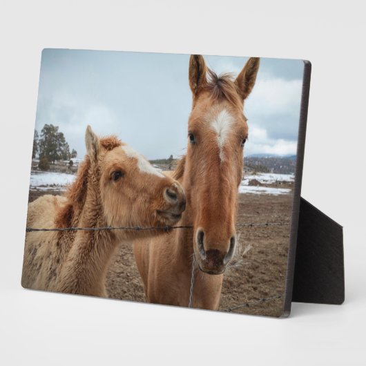 Mutterpferd Fotoplatte (Seite)