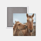 Mutterpferd Magnet (Vorderseite/Rückseite)