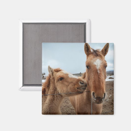Mutterpferd Magnet (Vorderseite/Rückseite)