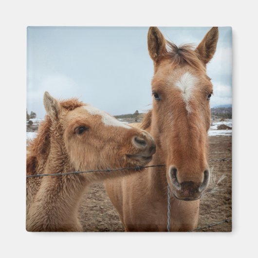 Mutterpferd Magnet (Vorne)