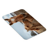 Mutterpferd Magnet (Rechte Seite)