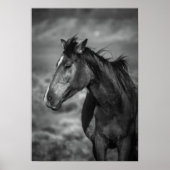 Mutterpferd Poster (Vorne)