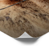 Mutterpferd Poster (Ecke)