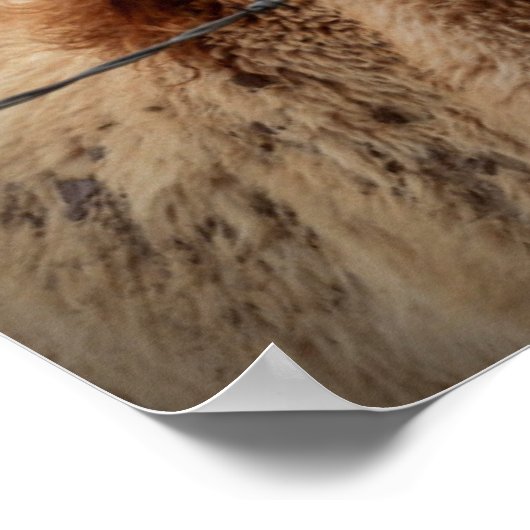 Mutterpferd Poster (Ecke)