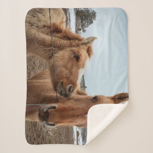 Mutterpferd Sherpadecke (Vorderseite)