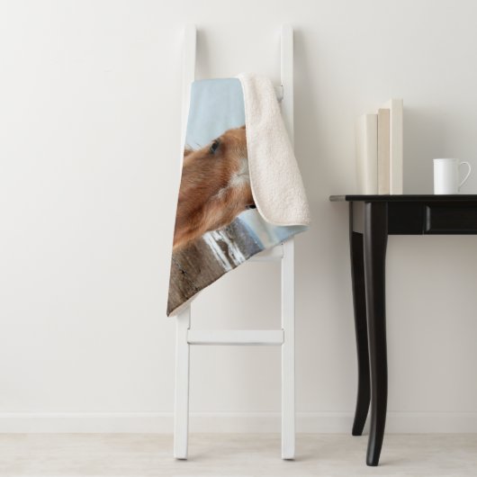 Mutterpferd Sherpadecke (Beispiel)