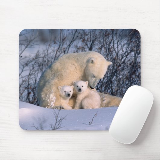 Mutterpolarbär sitzend mit Zwillingen, Mousepad (Mit Mouse)
