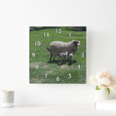 Mutterschaf mit Zwillingen Quadratische Wanduhr (Zuhause)