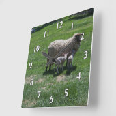 Mutterschaf mit Zwillingen Quadratische Wanduhr (Winkel)