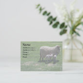 Mutterschaf mit Zwillingen Visitenkarte (Stehend Vorderseite)