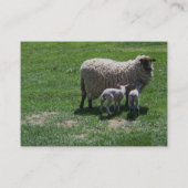 Mutterschaf mit Zwillingen Visitenkarte (Rückseite)