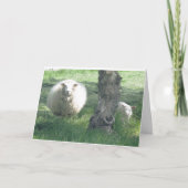 Mutterschaf und Lamm Karte (Vorderseite)