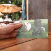 Mutterschaf und Lamm Karte