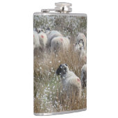 Mutterschafe in Gras aus Baumwolle in Nordhumberla Flachmann (Rechts)