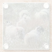 Mutterschafe in Gras aus Baumwolle in Nordhumberla Glasuntersetzer (Rückseite)