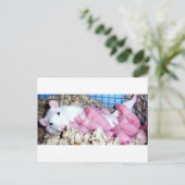 Mutterschaft Postkarte (Stehend Vorderseite)