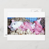 Mutterschaft Postkarte (Vorne/Hinten)